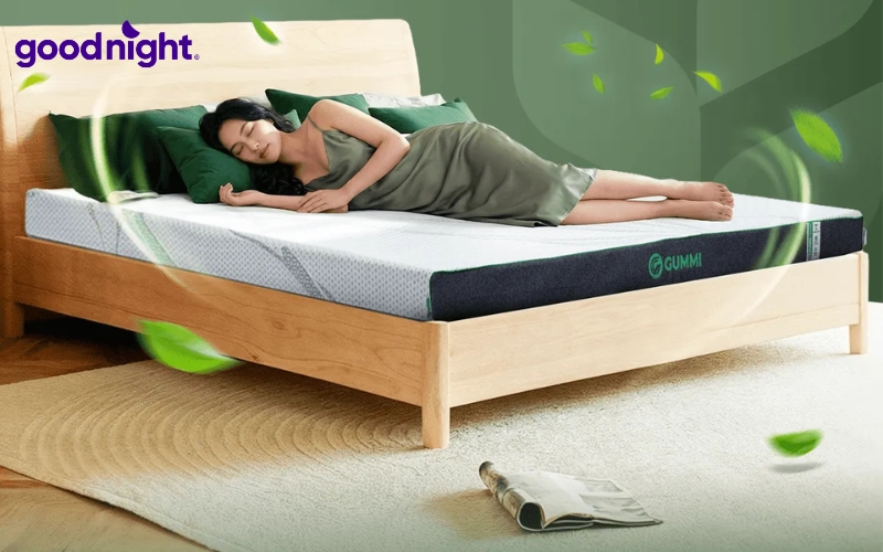 Nệm cao su 1 người nằm - TOP 5 mẫu sản phẩm bán chạy 2026 5 Gummi Premium