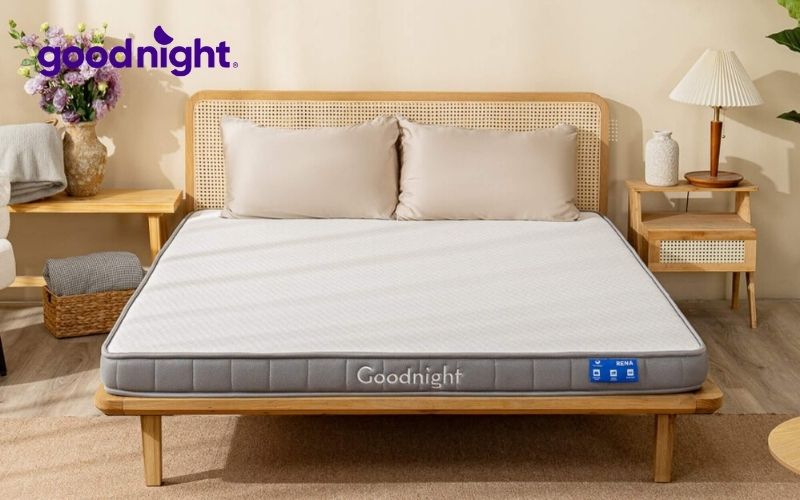 Có nên chọn nệm cao su cho bé sơ sinh không? 3 Nệm cao su cho bé sơ sinh Goodnight Rena