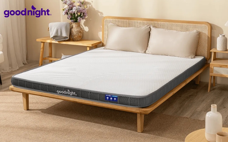 Nệm cao su gấp 3: Bảng giá & TOP 5 sản phẩm HOT 2026 8 Lựa chọn nệm cao su gấp 3 từ các thương hiệu uy tín