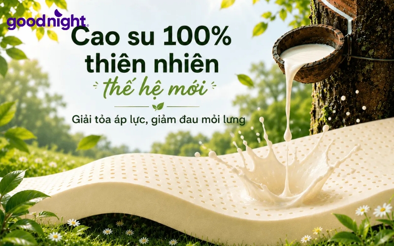 Nệm cao su Hàn Quốc: Đánh giá, phân loại & lưu ý khi mua 3 Nệm cao su thiên nhiên Hàn Quốc
