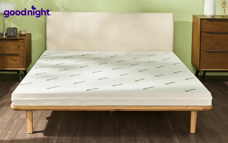 Nệm cao su là gì? Ưu, nhược điểm & kinh nghiệm chọn mua 6 Nệm giúp nâng đỡ cơ thể đều, giữ cột sống ở tư thế tự nhiên