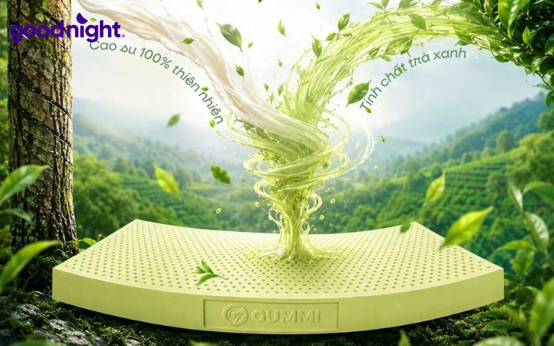 Nệm cao su là gì? Ưu, nhược điểm & kinh nghiệm chọn mua 2 Nệm cao su thiên nhiên được sản xuất từ 100% mủ cao su