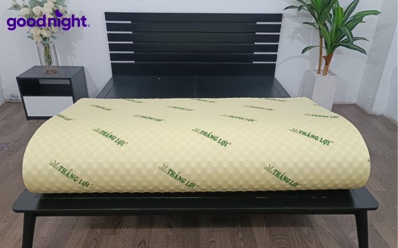 Nệm cao su massage là gì? TOP 5 mẫu nệm uy tín 2026 4 Nệm cao su massage còn được xem như giải pháp hỗ trợ thư giãn và chăm sóc sức khỏe ngay tại nhà