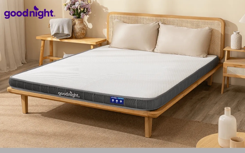 Nệm cao su non loại nào tốt? TOP 7 mẫu nệm chất lượng 9 Nệm Goodnight sử dụng các vật liệu an toàn, có khả năng thông thoáng tốt