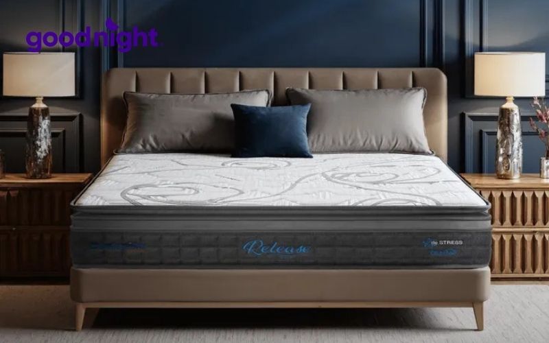 Review 8 mẫu nệm cho người thoát vị đĩa đệm tốt hiện nay 9 Dunlopillo de.Stress Release