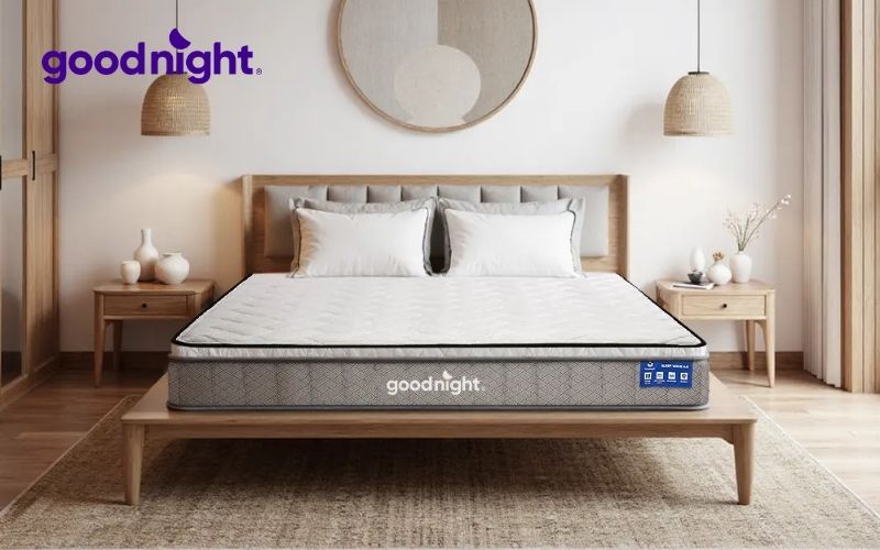 Review 8 mẫu nệm cho người thoát vị đĩa đệm tốt hiện nay 6 Goodnight Sleep Wave
