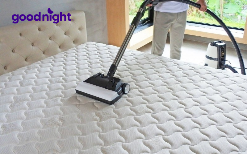 Việc bảo quản và vệ sinh đúng cách và thường xuyên là rất quan trọng