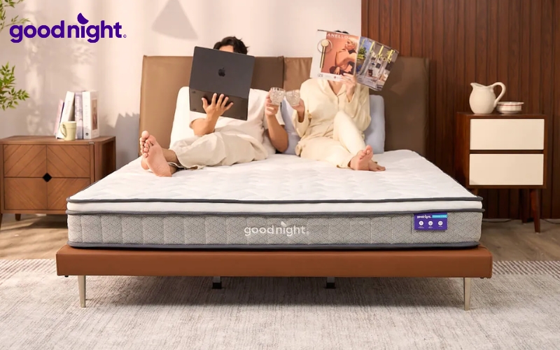 TOP 5 mẫu nệm lò xò dày 20cm đáng đầu tư năm 2026 4 Nệm lò xo Goodnight Sleep Wave