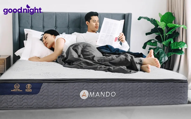 TOP 5 mẫu nệm lò xò dày 20cm đáng đầu tư năm 2026 5 Amando Elite Original