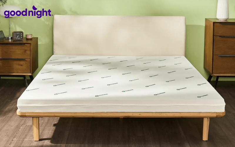 Nên mua nệm cao su hãng nào? Đánh giá các thương hiệu uy tín 7 Gummi Lite