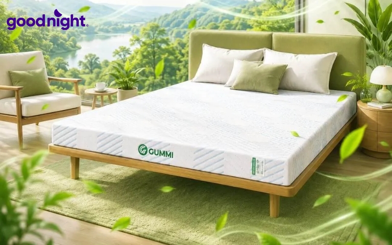Nên mua nệm cao su hãng nào? Đánh giá các thương hiệu uy tín 9 Gummi Signature