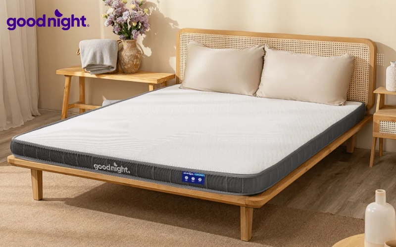 Nên mua nệm cao su hãng nào? Đánh giá các thương hiệu uy tín 2 Goodnight