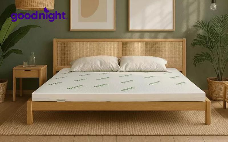Nên nằm nệm cứng hay mềm tốt hơn? 5 lưu ý lựa chọn nệm 9 Gummi Classic đáp ứng đầy đủ các tiêu chuẩn của một chiếc nệm cao su hoàn hảo