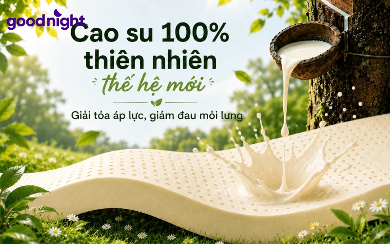 So sánh các loại nệm - TOP 5 mẫu nệm chất lượng, uy tín 2 Nệm cao su thiên nhiên