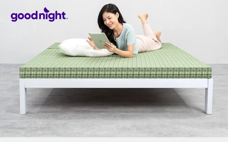 So sánh các loại nệm - TOP 5 mẫu nệm chất lượng, uy tín 6 Goodnight Nova