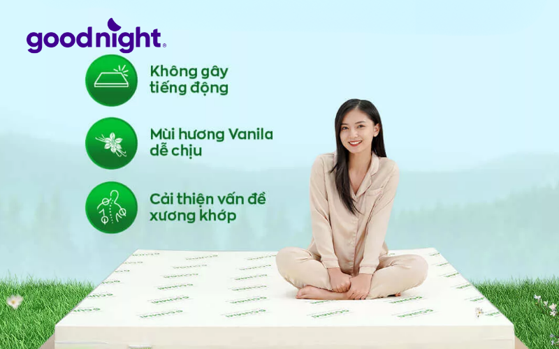 Top 7 nệm cao su mỏng chất lượng, bán chạy nhất hiện nay 3 Nệm Gummi Classic hội tụ đầy đủ tiêu chuẩn nệm cao su chất lượng