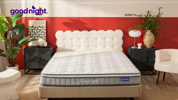 Điểm danh các loại nệm chất lượng trên thị trường hiện nay