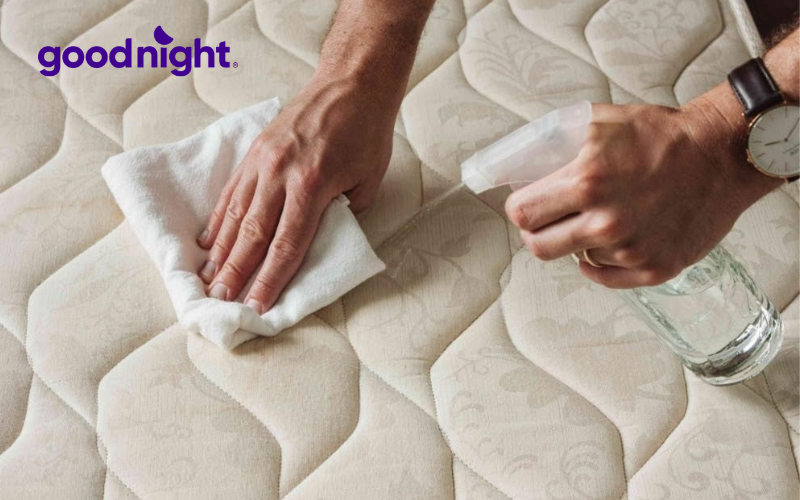 7 cách sử dụng nệm cao su chuẩn kéo dài tuổi thọ nệm 5 Vệ sinh nệm định kỳ