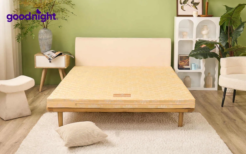 Dịch vụ đặt đệm theo kích thước chất lượng, giá tốt 3 Nệm bông ép