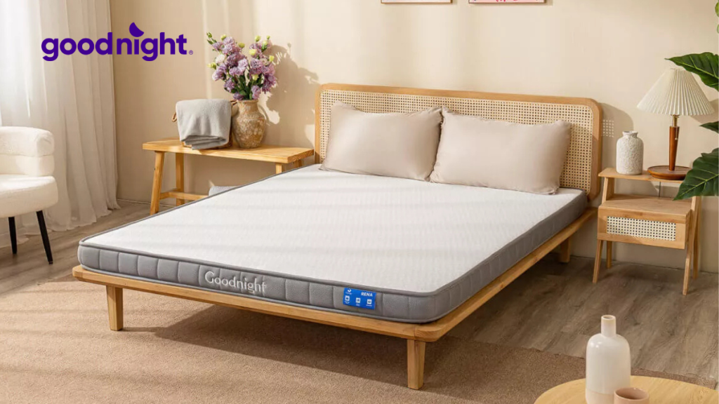 Giá đệm 1mx1m9 (100x190) mới nhất trên thị trường