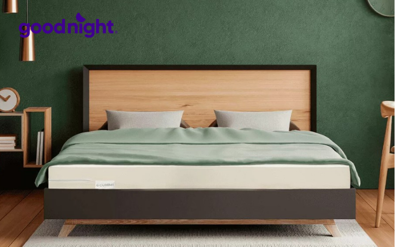 Bảng giá các loại nệm mới nhất 2025 (Kèm khuyến mãi) 2 Nệm cao su Gummi Classic