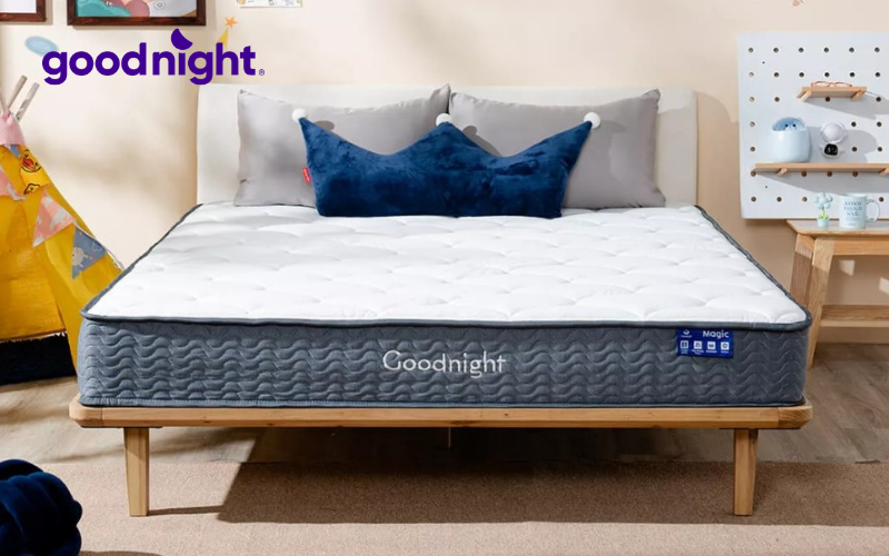Bảng giá các loại nệm mới nhất 2025 (Kèm khuyến mãi) 3 Nệm lò xo Goodnight Magic
