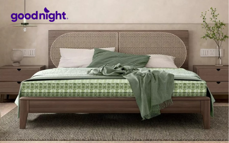 Bảng giá các loại nệm mới nhất 2025 (Kèm khuyến mãi) 4 Nệm bông ép Goodnight Nova