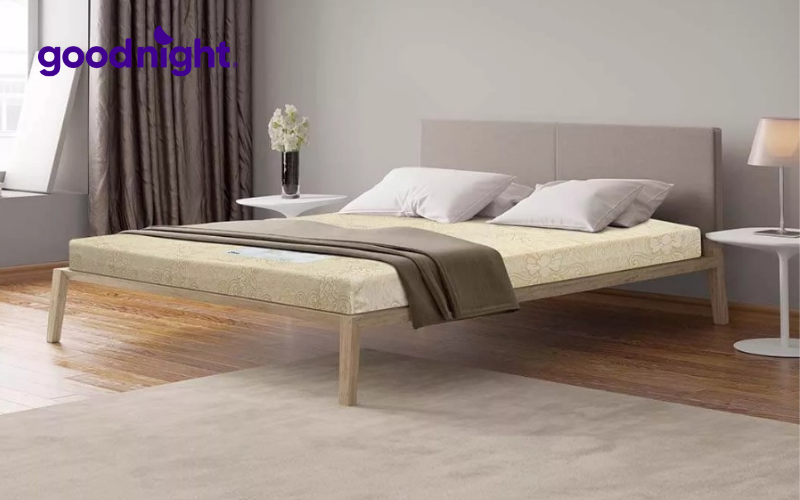 Bảng giá các loại nệm mới nhất 2025 (Kèm khuyến mãi) 5 Nệm foam Goodnight Eva