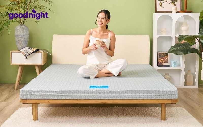 Top 8 mẫu nệm gấp gọn, tiện lợi có giá thành hợp lý 7 Nệm bông ép gấp 3 Wonjun Pure & Fresh