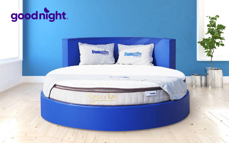 Top 8 mẫu nệm tròn chất lượng được yêu thích nhất hiện nay 3 Mẫu nệm tròn Dunlopillo Circle Life