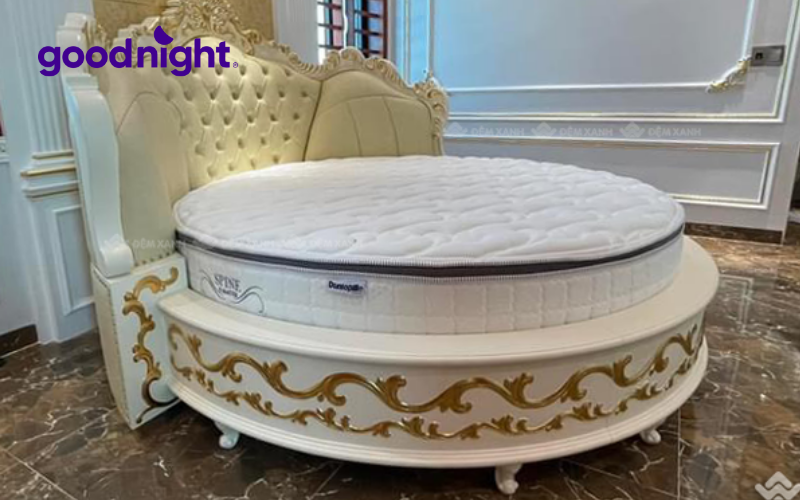 Top 8 mẫu nệm tròn chất lượng được yêu thích nhất hiện nay 4 Mẫu nệm tròn Dunlopillo Spine O Master