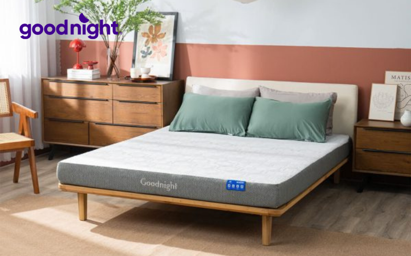 5 Nguyên nhân khiến bạn nằm nệm bị đau lưng và cách khắc phục hiệu quả 6 Chọn nệm có chất liệu nệm cần đảm bảo an toàn