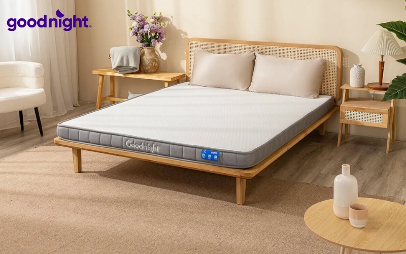 TOP 10 mẫu nệm 15cm chất lượng, giá tốt 2026 5 Nệm lò xo