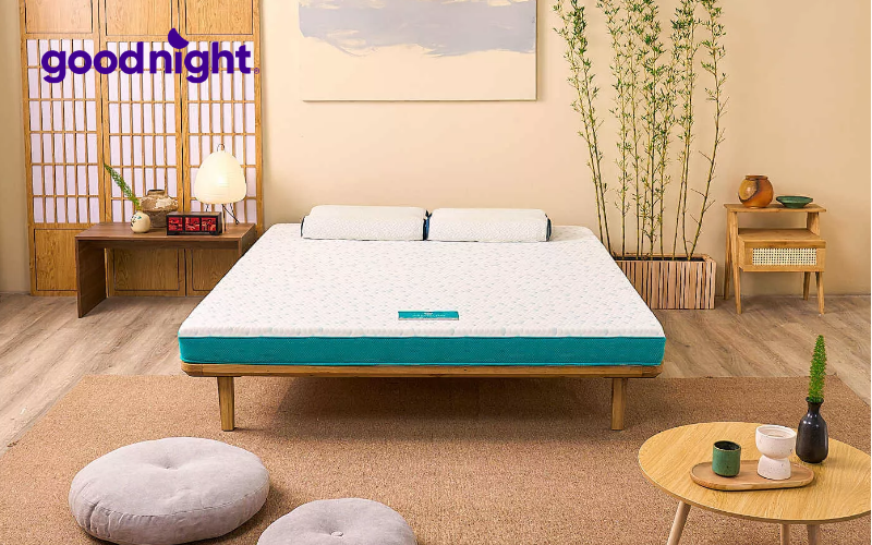 Bảng báo giá đệm 1m1 x 2m cập nhật mới nhất năm 2025 2 nem 1m1 x 2m nho gon de dang di chuyen