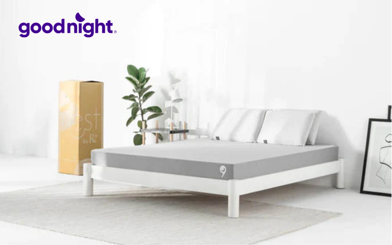 Bảng báo giá nệm 1m2 x 1m6 cập nhật mới nhất năm 2025 2 Nệm 1m2 x 1m6 là sự lựa chọn linh hoạt cho nhiều đối tượng