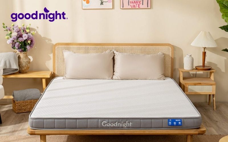 Bảng giá nệm 1m2x2m chính hãng cập nhật năm 2025 4 Nệm cao su Goodnight Rena 1m2x2m