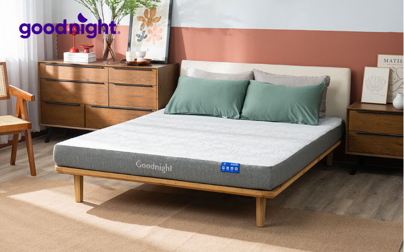 Giá nệm 1m2x1m8 (120x180) mới nhất trên thị trường 2 Goodnight Hachi