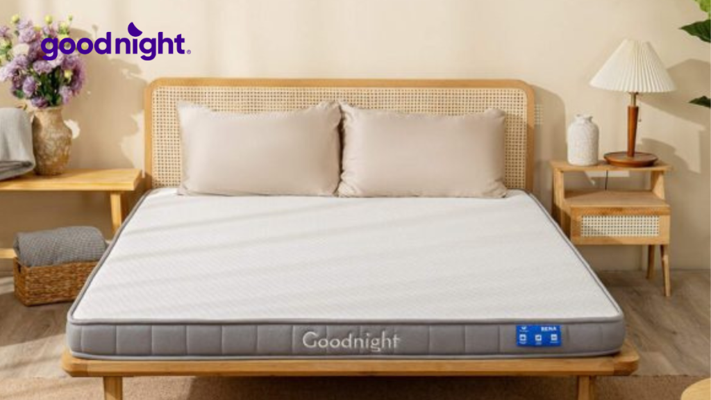 Giá nệm 1m2x1m8 (120x180) mới nhất trên thị trường