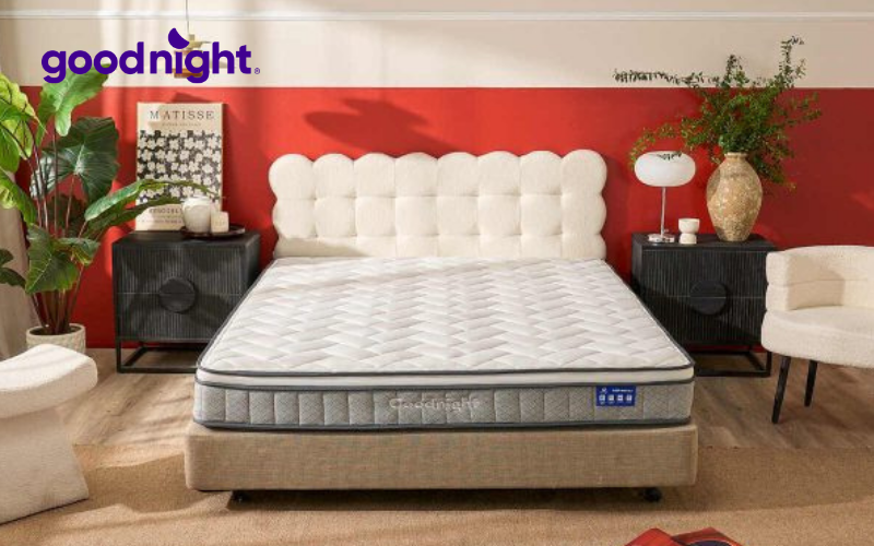 Giá nệm 1m2x1m8 (120x180) mới nhất trên thị trường 3 Nệm Goodnight Sleep Wave