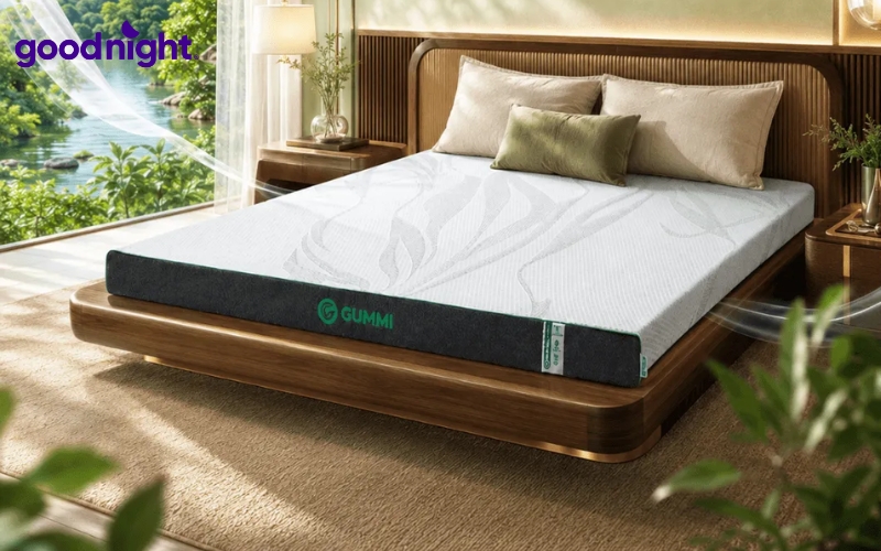 10 mẫu nệm 1m4 x 1m6 chất lượng - Phân loại, kinh nghiệm chọn mua 11 Cân nhắc lựa chọn kích thước tương đương nệm 1m4 x 1m6