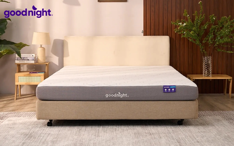 10 mẫu nệm 1m4 x 1m6 chất lượng - Phân loại, kinh nghiệm chọn mua 5 Goodnight Massage 2.0