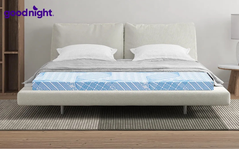 10 mẫu nệm 1m4 x 1m6 chất lượng - Phân loại, kinh nghiệm chọn mua 9 Kim Cương Titanium