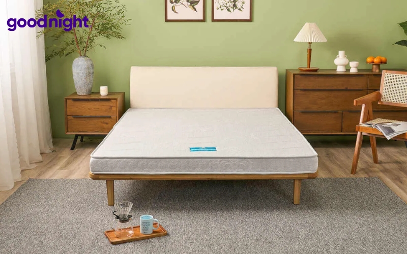 Nệm 1m4x1m8: Bảng giá, phân loại, bí quyết chọn mua 4 Nệm bông ép