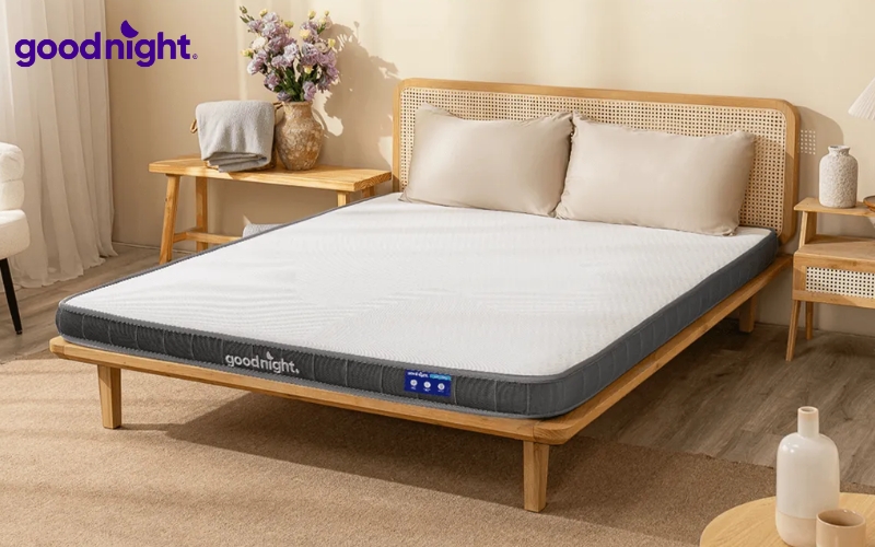 Nệm 1m4x1m8: Bảng giá, phân loại, bí quyết chọn mua 6 Goodnight Latex Hybrid