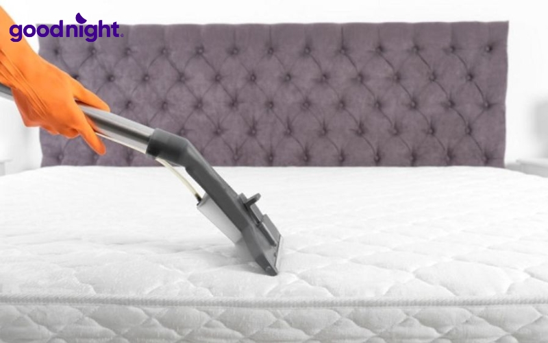 Bảng giá nệm 1m4x1m9 năm 2026 & Top 5 mẫu bán chạy 8 Bạn nên vệ sinh đệm định kỳ ít nhất 2-3 tháng/lần