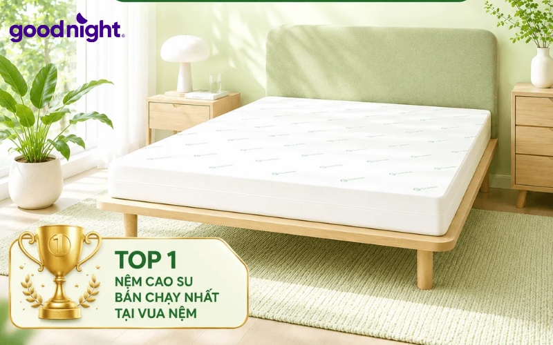 TOP 7 mẫu đệm 1m5x1m8 chất lượng & Cách chọn chi tiết 6 Gummi Classic
