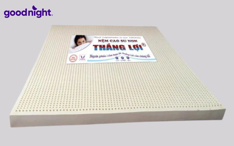 Bảng giá nệm 1m x 1m8 & TOP 7 mẫu nệm tốt 2026 8 Nệm cao su non Thắng Lợi