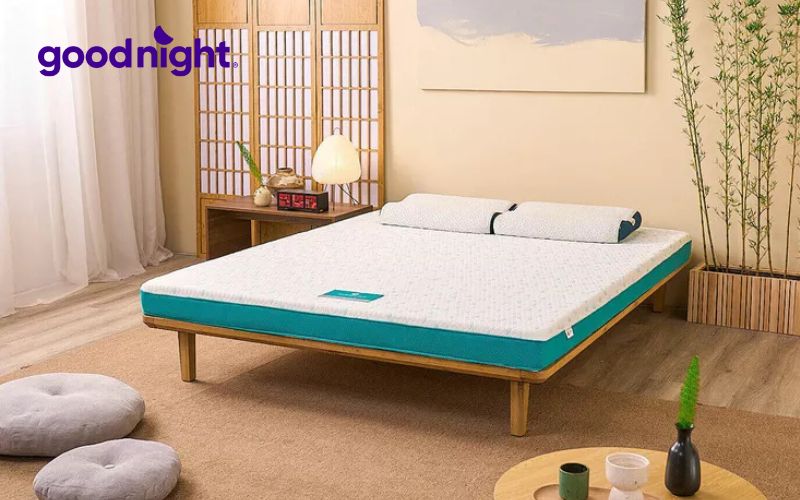 Top 10 mẫu nệm 2 người nằm chất lượng đáng mua năm 2025 10 Nệm foam Aeroflow Standard