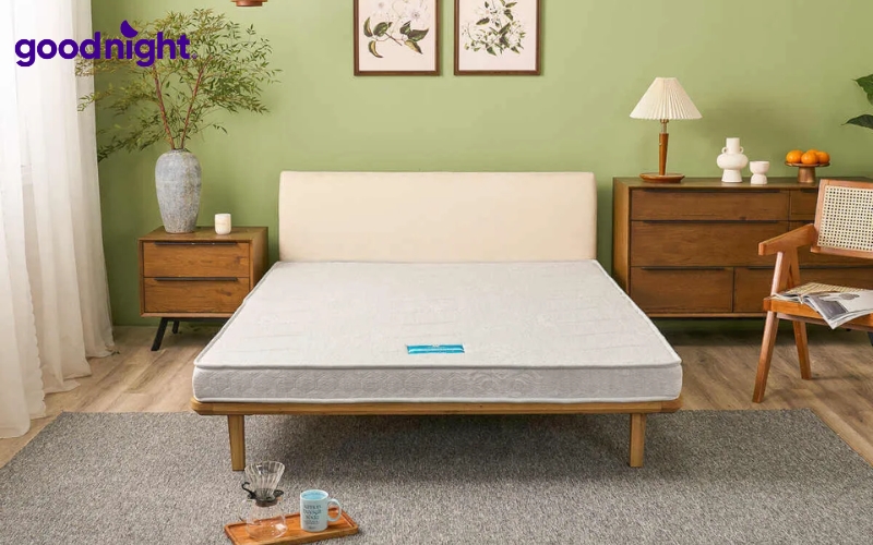 TOP 10 mẫu nệm 2 người nằm chuẩn kích thước, ngủ ngon 4 Nệm bông ép