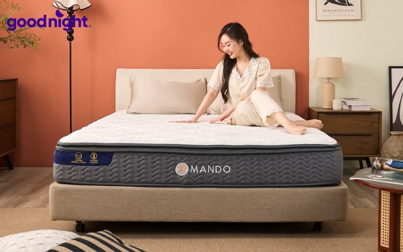 TOP 10 mẫu nệm 2 người nằm chuẩn kích thước, ngủ ngon 8 Amando Elite Original